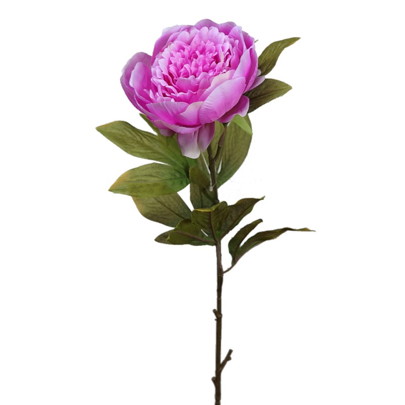 VARA DE PEONIA 70CM