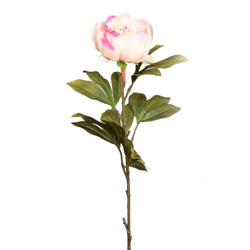 VARA DE PEONIA 70CM