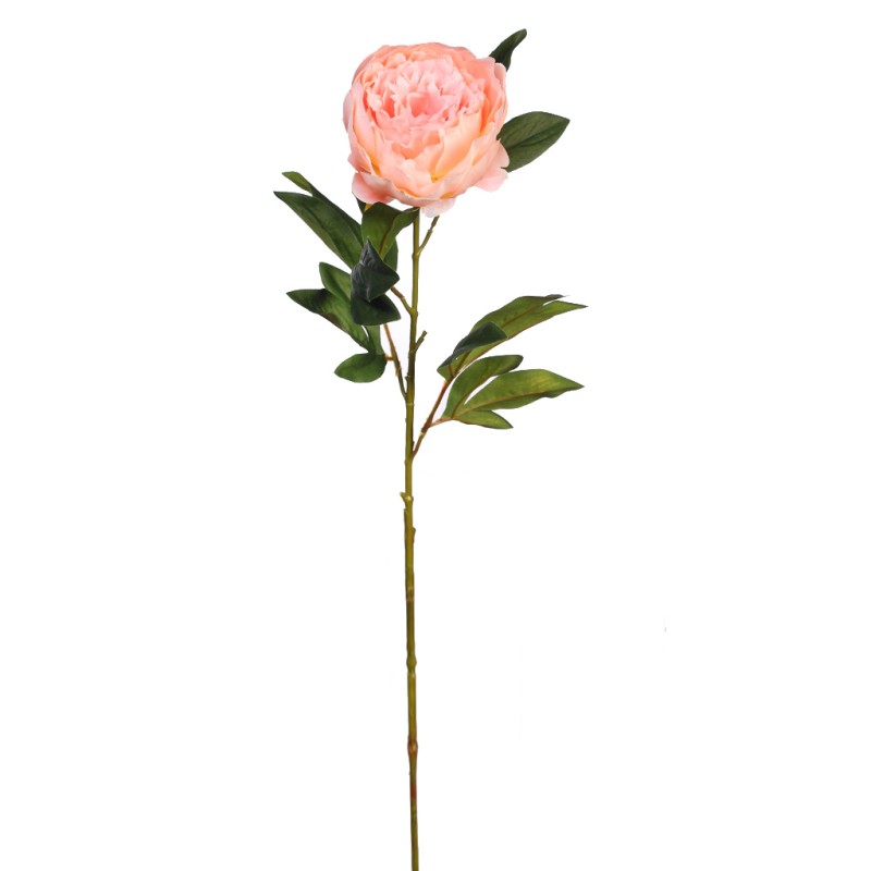 VARA DE PEONIA 70CM