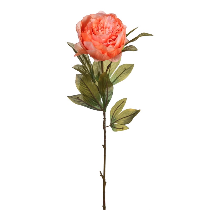 VARA DE PEONIA 70CM