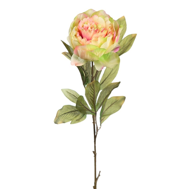 VARA DE PEONIA 70CM