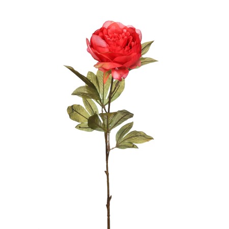 VARA DE PEONIA 70CM