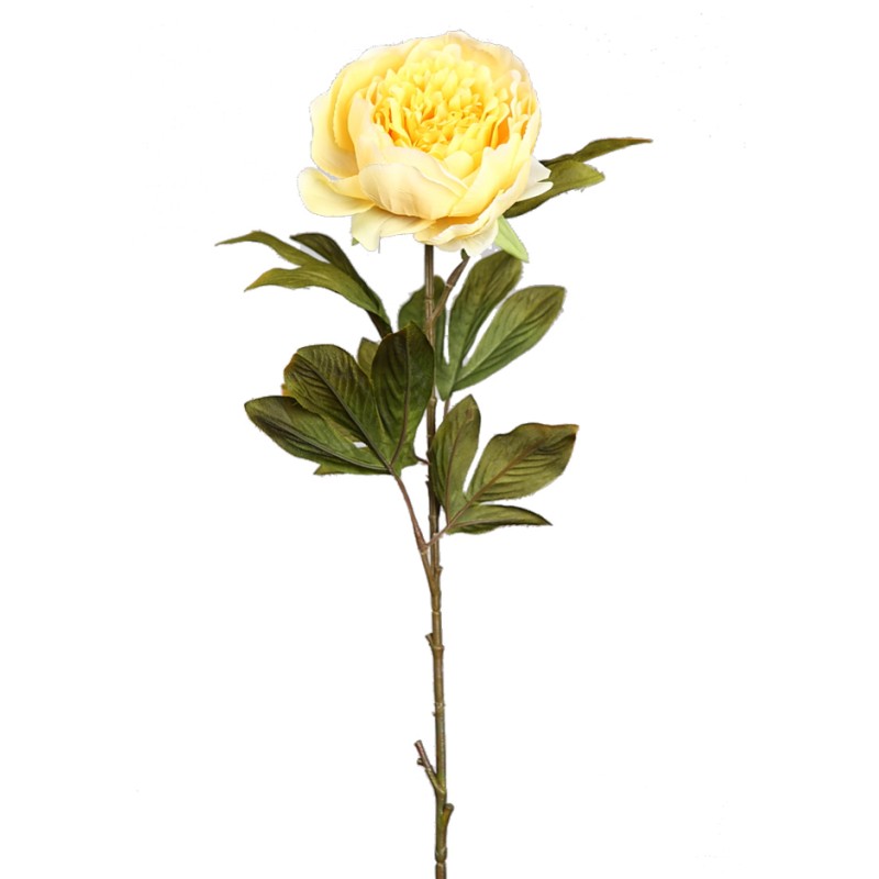 VARA DE PEONIA 70CM
