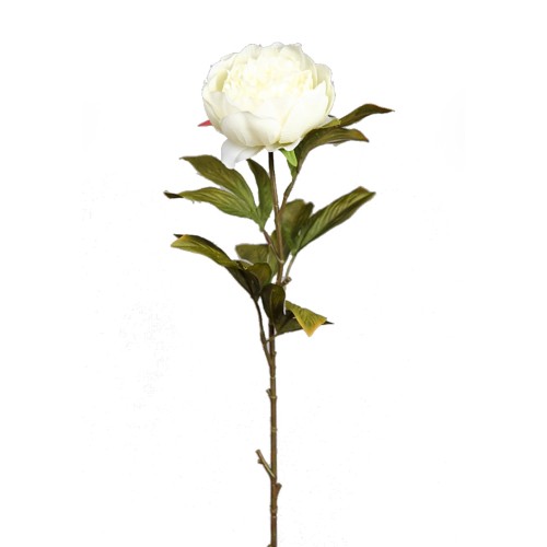 VARA DE PEONIA 70CM 2