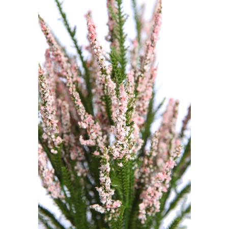 PLANTA ERICA ARTIFICIAL 38 CM