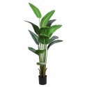 bananera artificial