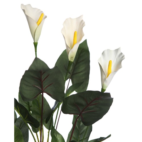 CALA LILY 61CM 2
