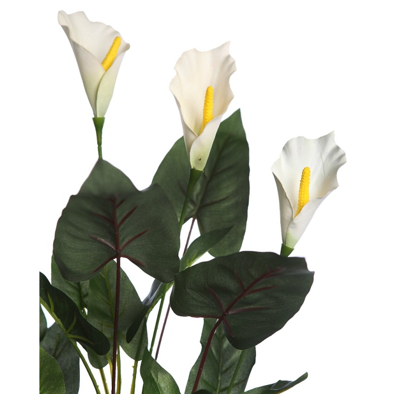 CALA LILY 61CM