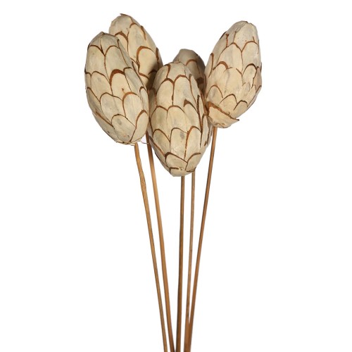 SOLA CHIP PINE LARGE X5 65CM 2