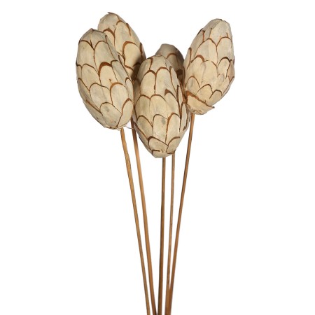 SOLA CHIP PINE LARGE X5 65CM