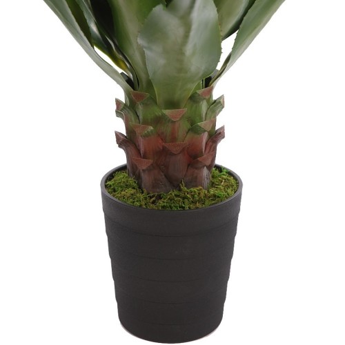 AGAVE EN MACETA 100CM 2