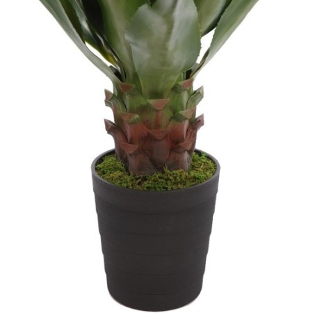 AGAVE EN MACETA 100CM