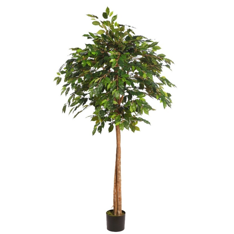 ARBOL COPA FICUS CON MACETA 190CM