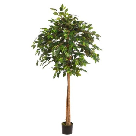 ARBOL COPA FICUS CON MACETA 190CM