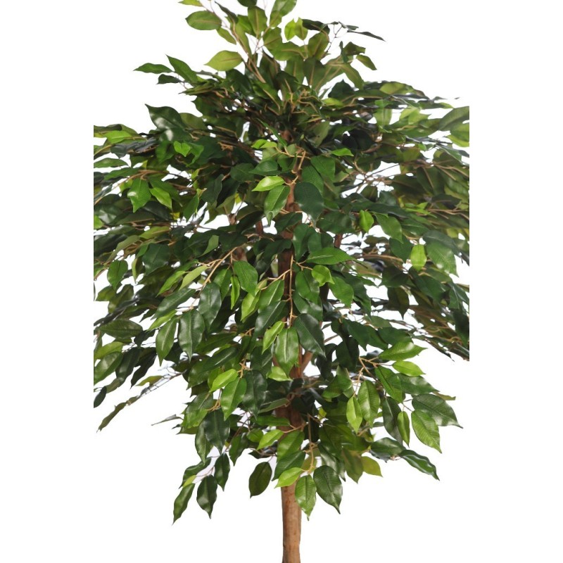 ARBOL COPA FICUS CON MACETA 190CM