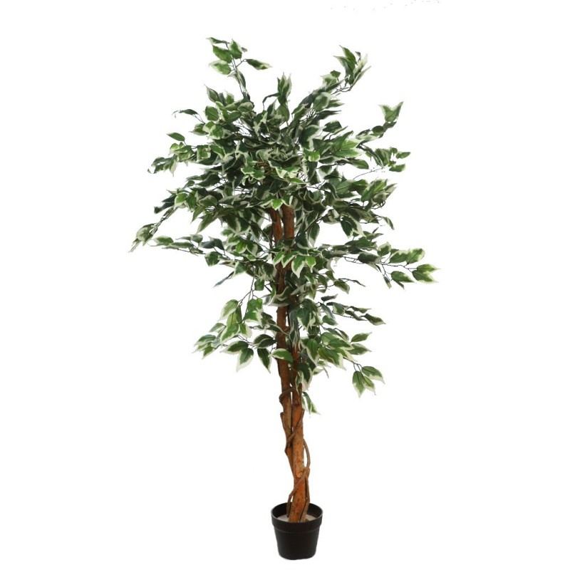 ARBOL DE FICUS BICOLOR ARTIFICIAL