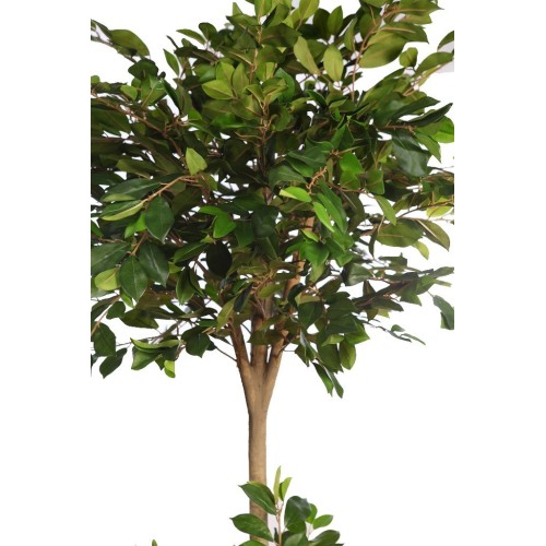 ARBOL DE FICUS RETUSA EN MACETA ARTIFICIAL 180CM 2