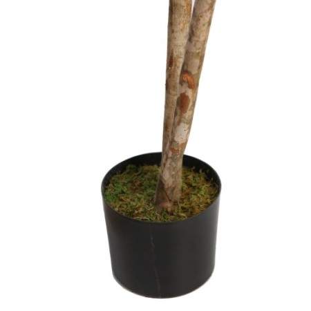 ARBOL DE FICUS RETUSA EN MACETA ARTIFICIAL 180CM