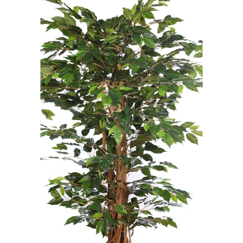 ARBOL FICUS CON MACETA 190CM