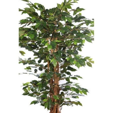 ARBOL FICUS CON MACETA 190CM