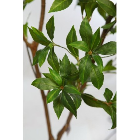 ARBOL SCHEFFLERA ARTIFICIAL 180CM