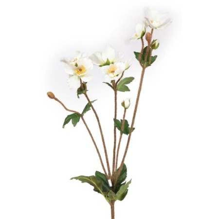 ATADO HORTENSIA BLANCA Ø 45CM