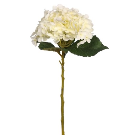 ATADO HORTENSIA BLANCA Ø 45CM