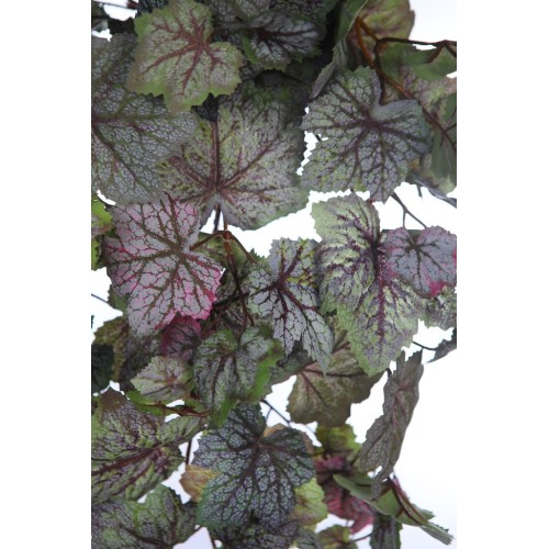 BEGONIA SAXIFRAGA COLGANTE 68CM 2