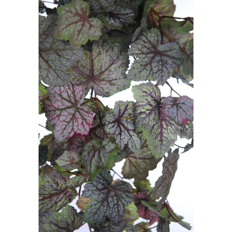 BEGONIA SAXIFRAGA COLGANTE 68CM