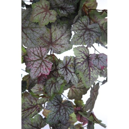 BEGONIA SAXIFRAGA COLGANTE 68CM