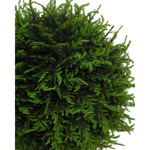 BOLA SETO TUYA EN MACETA ARTIFICIAL 44CM 2