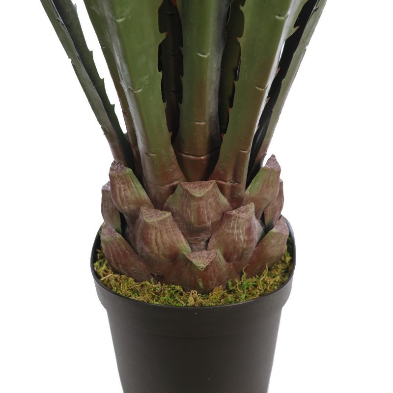 CACTUS AGAVE CON MACETA 125CM
