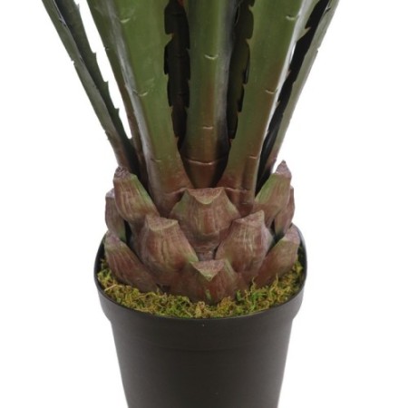 CACTUS AGAVE CON MACETA 125CM