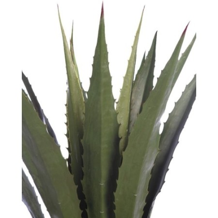 CACTUS AGAVE CON MACETA 125CM