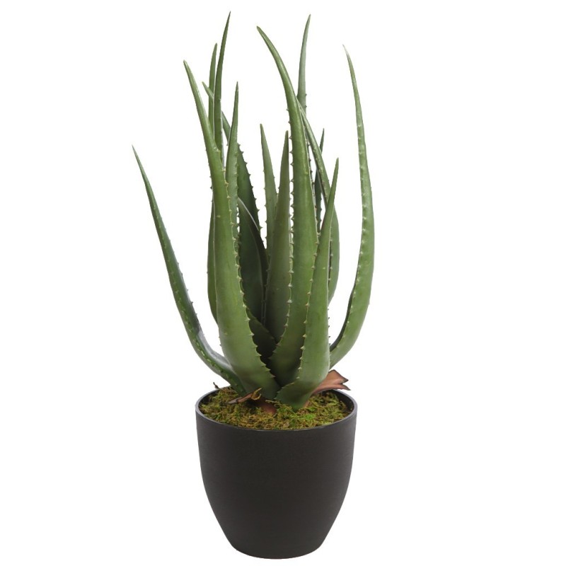 CACTUS ALOE ARTIFICIAL 55CM