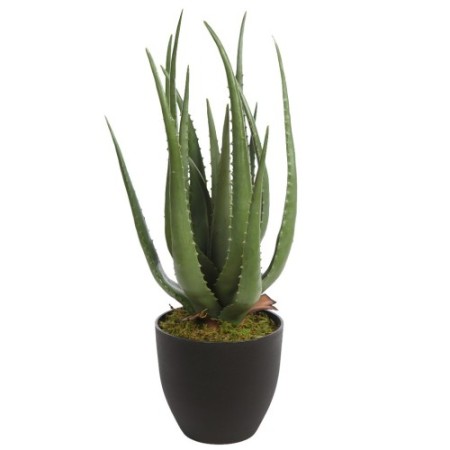 CACTUS ALOE ARTIFICIAL 55CM