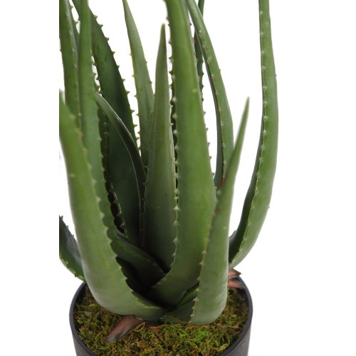 CACTUS ALOE ARTIFICIAL 55CM 2