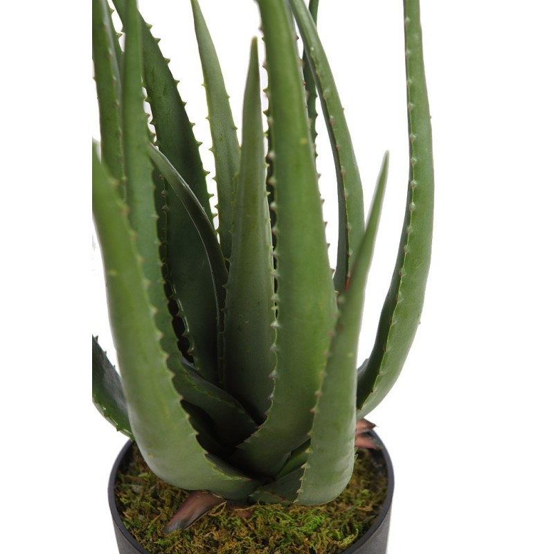 CACTUS ALOE ARTIFICIAL 55CM