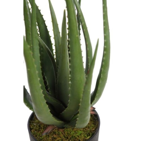 CACTUS ALOE ARTIFICIAL 55CM