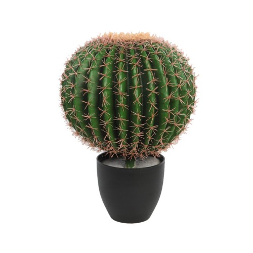 CACTUS BARRIL EN MACETA 50CM