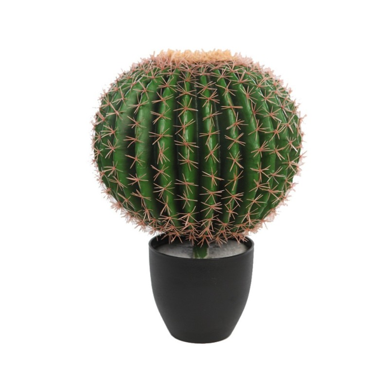 CACTUS BARRIL EN MACETA 50CM