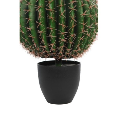 CACTUS BARRIL EN MACETA 50CM