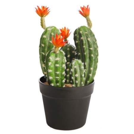 CACTUS SAGUARO CON FLOR EN MACETA 35CM