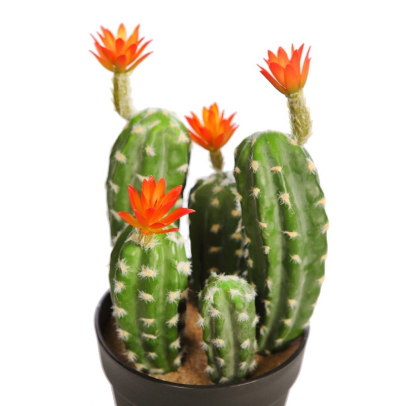 CACTUS SAGUARO CON FLOR EN MACETA 35CM