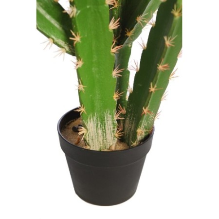 CACTUS SAN PEDRO EN MACETA 68CM