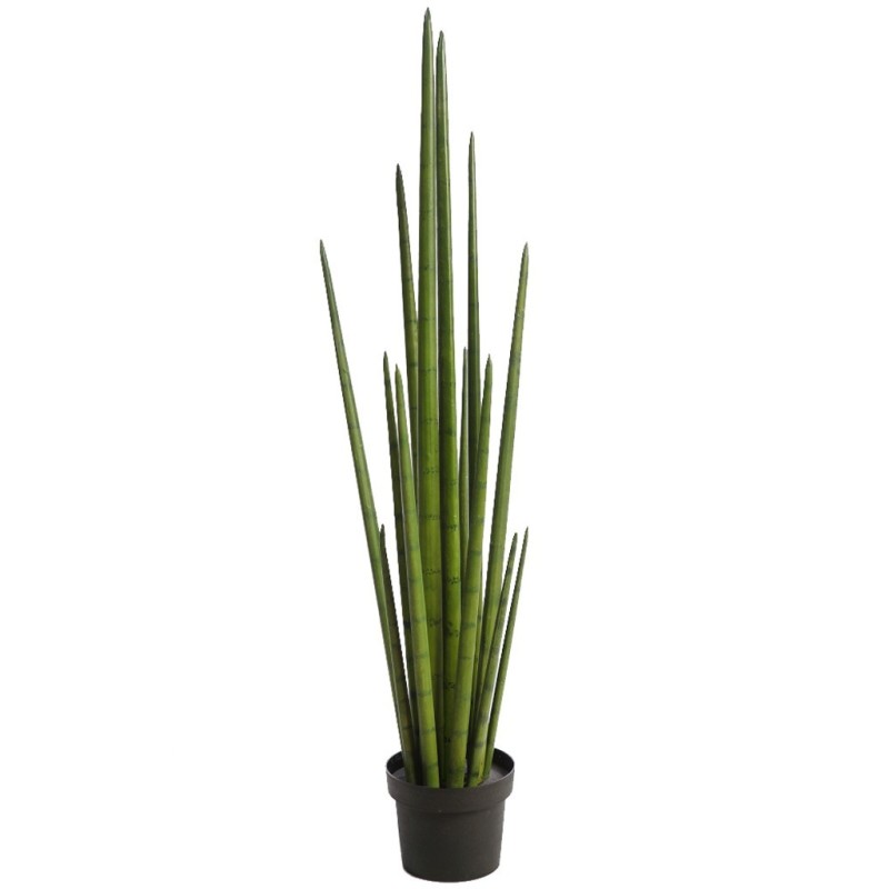CACTUS SANSEVIERA CYLINDRICA ARITIFICIAL 100CM