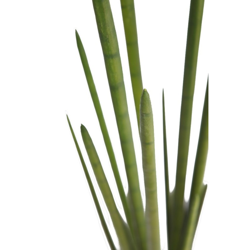 CACTUS SANSEVIERA CYLINDRICA ARITIFICIAL 100CM