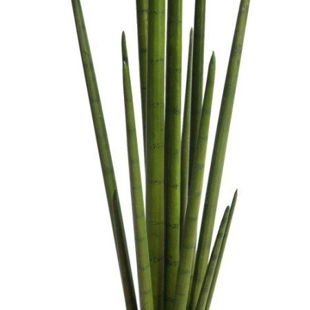CACTUS SANSEVIERA CYLINDRICA ARITIFICIAL 100CM