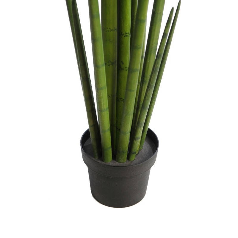 CACTUS SANSEVIERA CYLINDRICA ARITIFICIAL 100CM