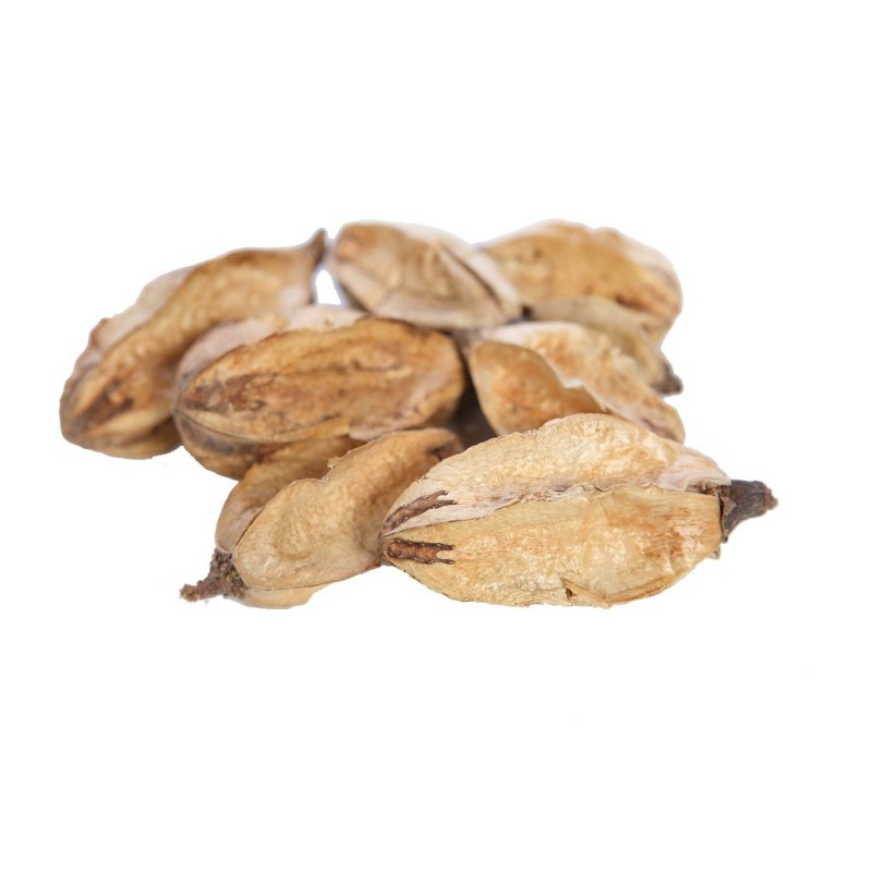 CAJA 50UD FRUTOS LILIS LOOSE